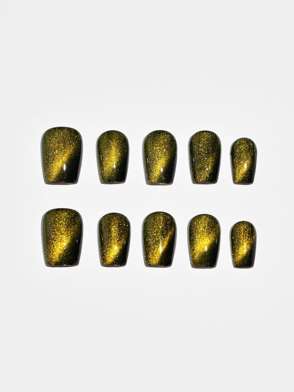 Olive Envy