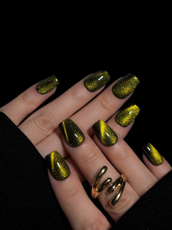 Olive Envy